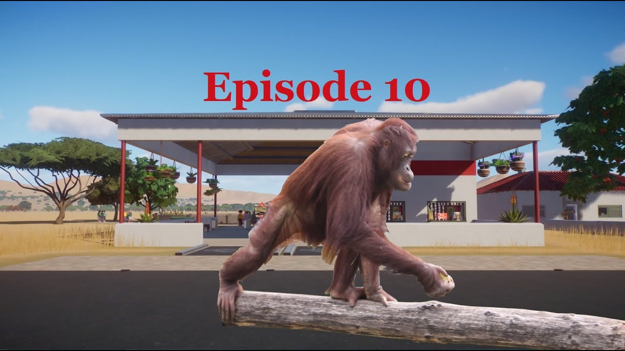 Zool&oacute;gico Popular: Episode 10 - Experiment in Brutalism - Orang Utan House