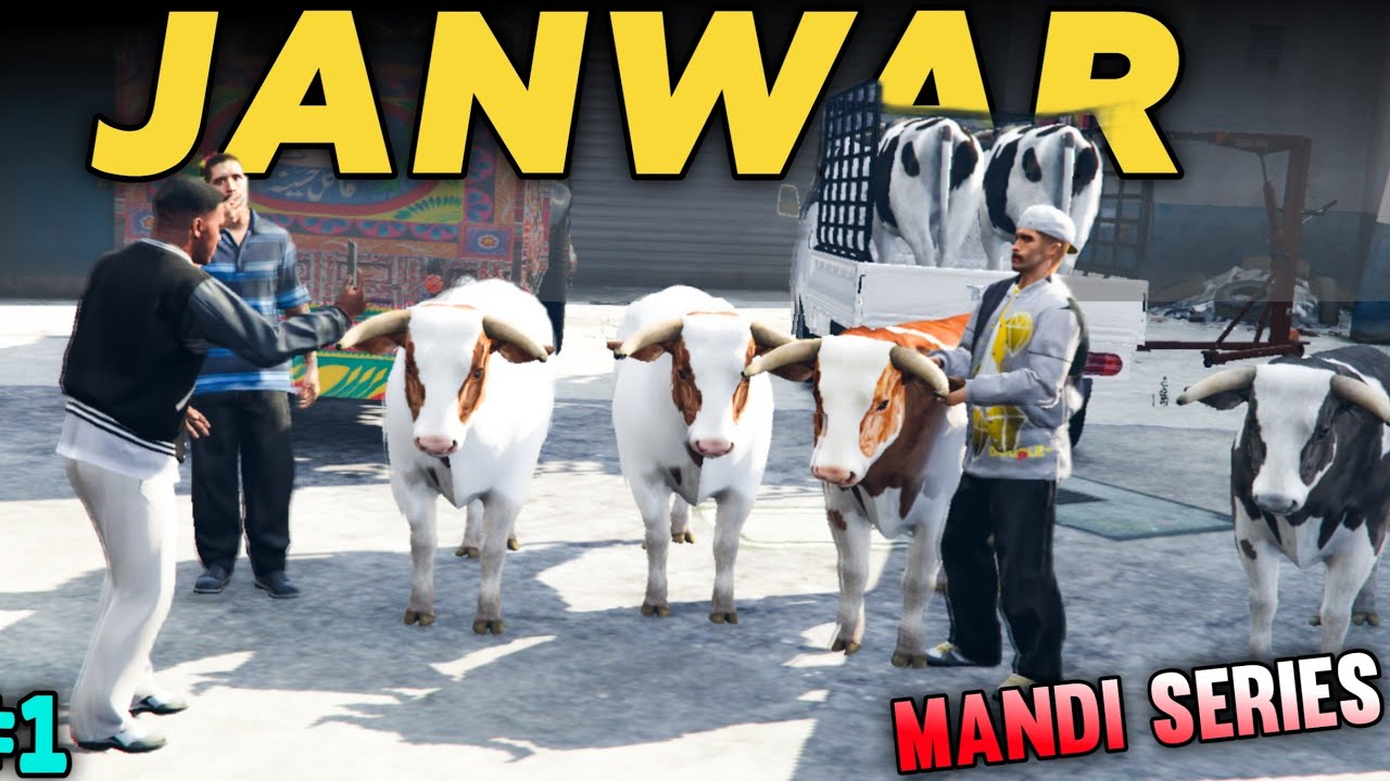 Mandi Ki Janwar A Gaya hai 🤯 | Mandi 2025