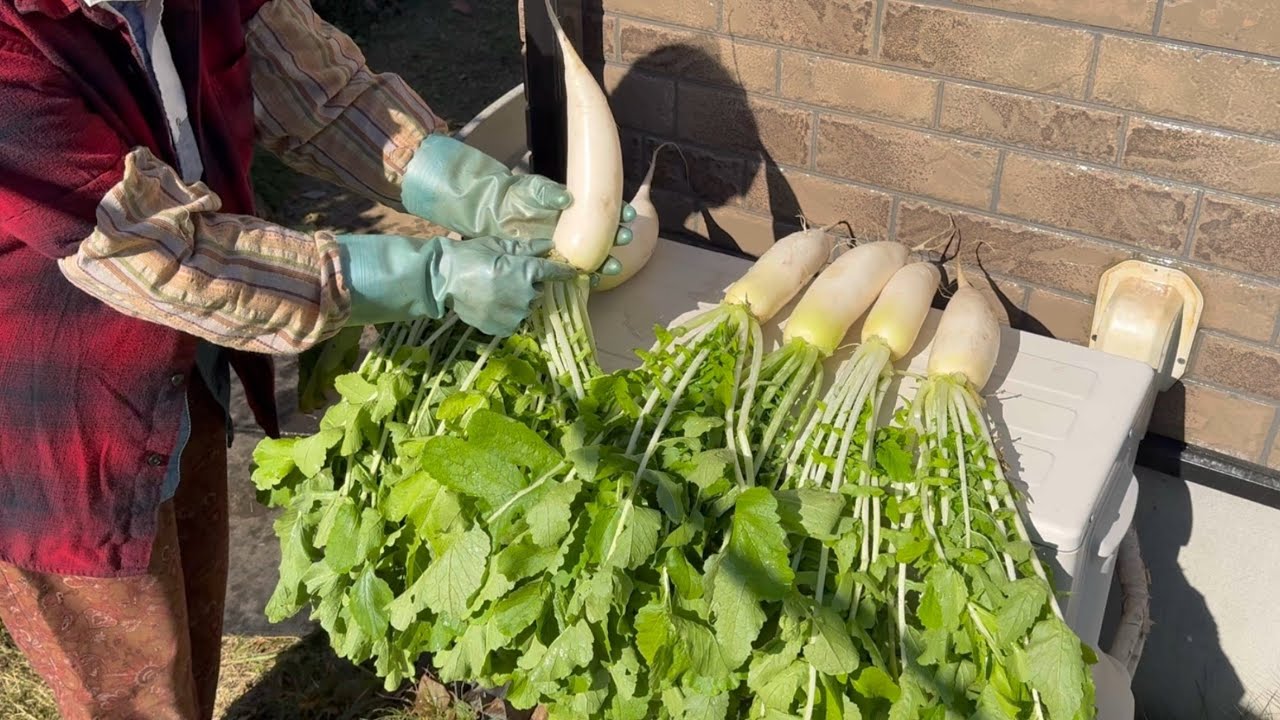 【おばあちゃんのおうちごはん】万能ねぎダレ/唐揚げと漬け物を作る