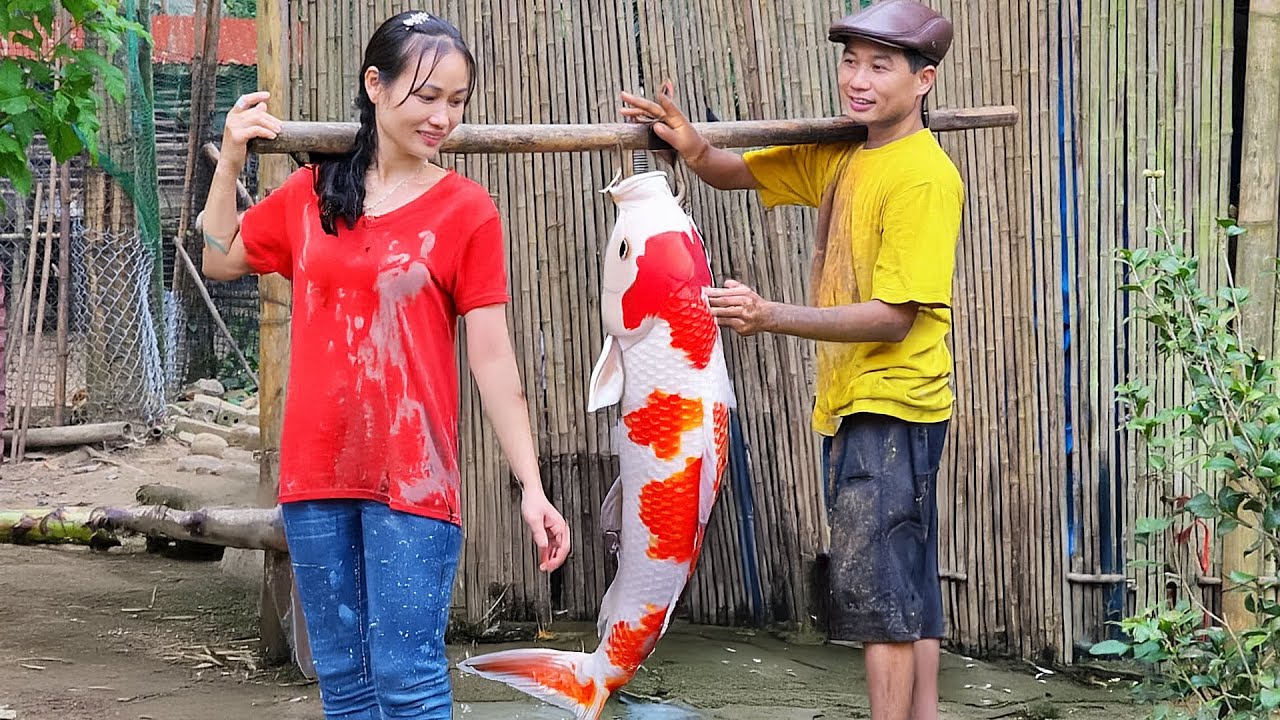 Catching 3000 Pounds of Giant Fish to Sell at the Market – Grilling Fish for My Husband