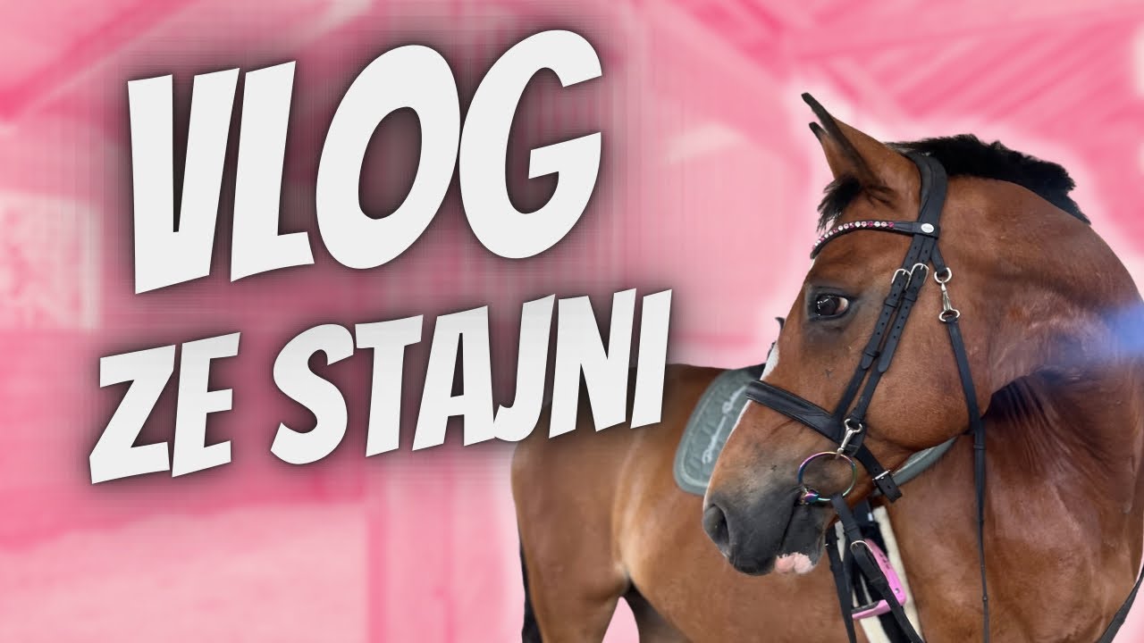 LUŹNY STAJENNY VLOG - PRZYWIOZŁAM CZAPRAKI, INFO O ZAWODACH, KUCYKI, ŹREBACZKI💗