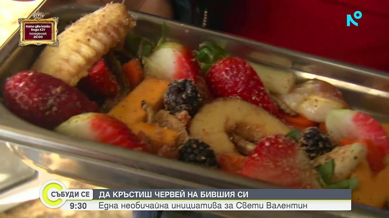 Кръсти червей на бившия си в Бургаския зоопарк
