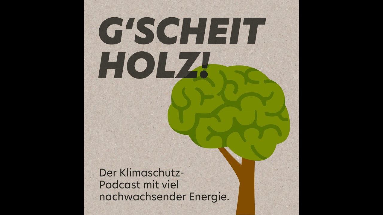 G’SCHEITHOLZ! SHORTS #30 – Energiewende in der Stadt, geht das überhaupt, Herr Vogl?