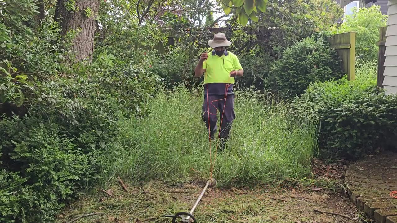 80 year old Elderly lady desperately needed a Gardener 
