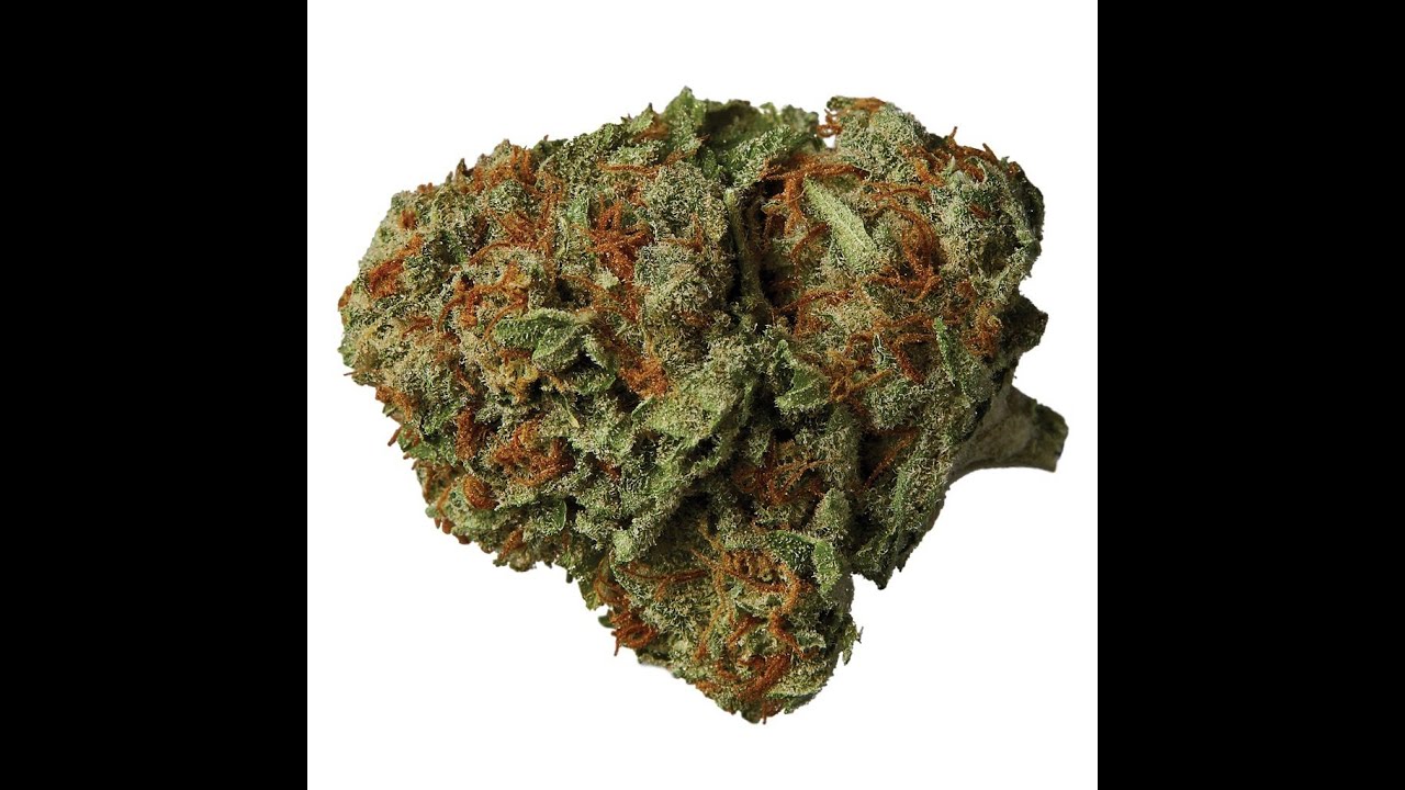 SQDC Horizon Hexo strain Kali Mist AAA 19,05% de thc review 15