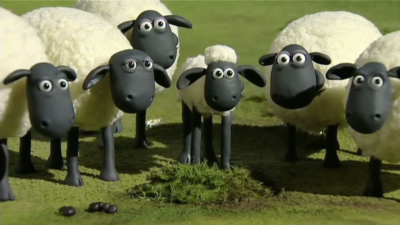 Shaun the Sheep - LIVE 🚨 BRAND NEW EPISODES 🐑 Cartoons for kids, Preschool, Farm