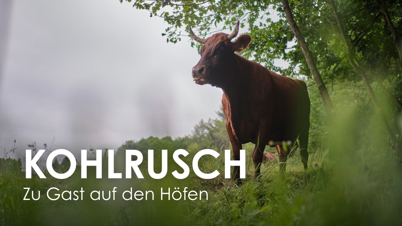 CLAUS UND KATHARINA KOHLRUSCH: Landschaftspflege 🌱 Zu Gast auf den H&ouml;fen &ndash; &Ouml;ko-Modellregion Goslar