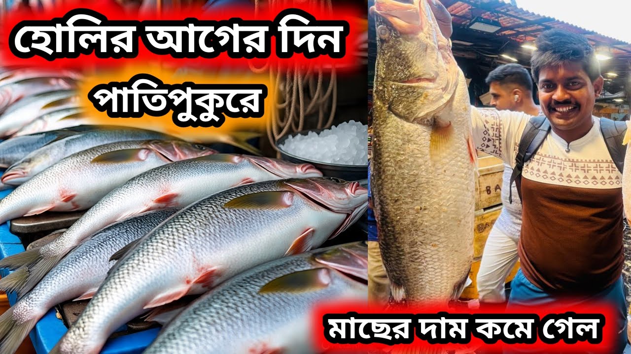 হোলির আগের দিন পাতিপুকুর মাছ বাজারে মাছের দাম কমে গেল || patipukur fish market #fishmarket 