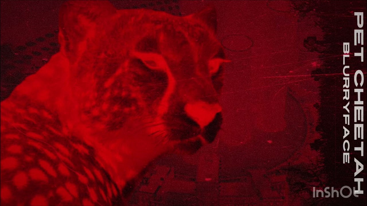 Pet Cheetah - Blurryface (Remastered) twenty one pilots remix