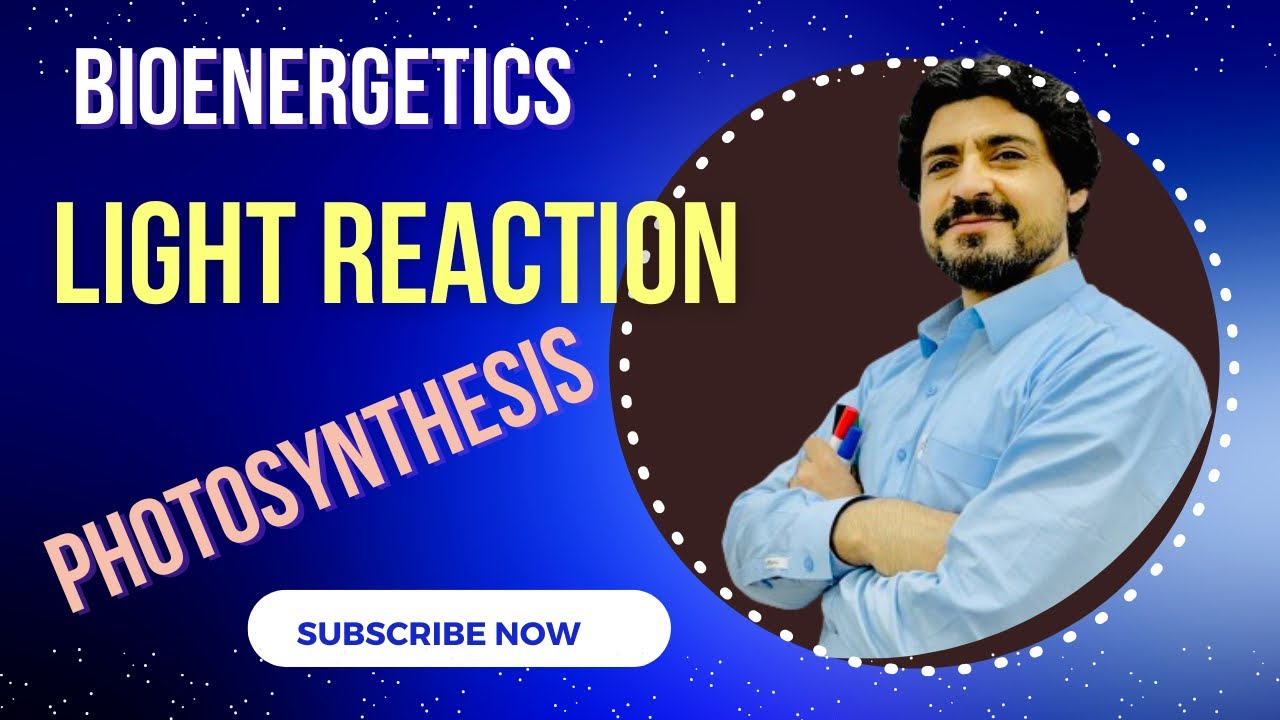 MDCAT BIOLOGY, LIGHT REACTION PHOTOSYNTHESIS #bioenergetics #lightreaction