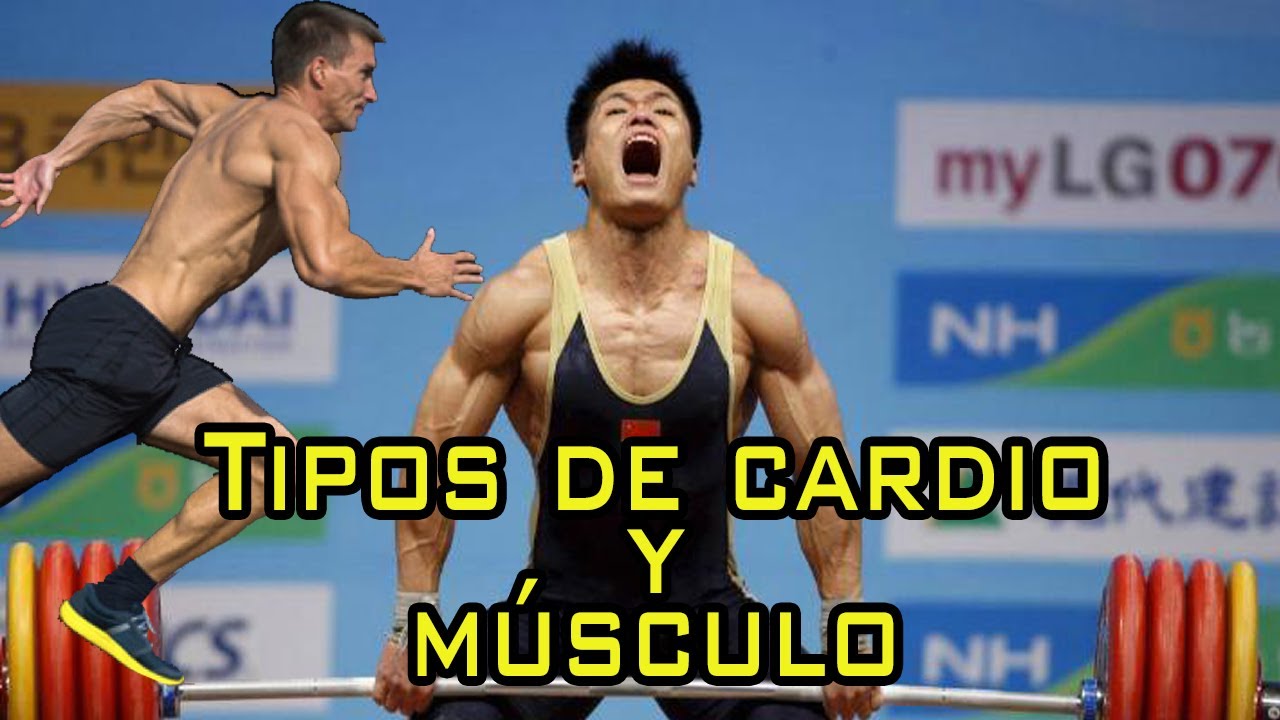 ¿Qué cardio hacer para no perder músculo? ¿Alta o baja intensidad?