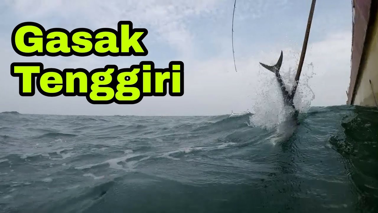 Mancing Tenggiri di Tuas Pulau Payar - Gasak