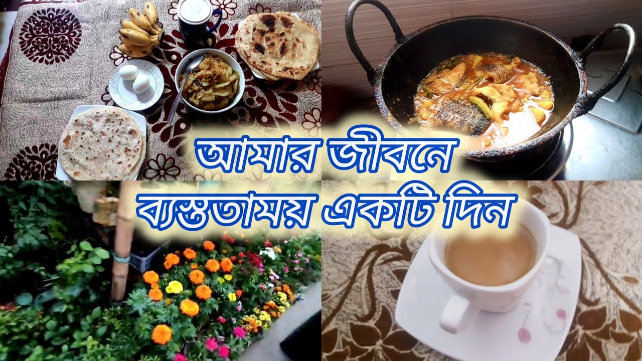 আজকে আমার খুবই চমৎকার একটি দিন কাটল😍।A amazing day in my life.