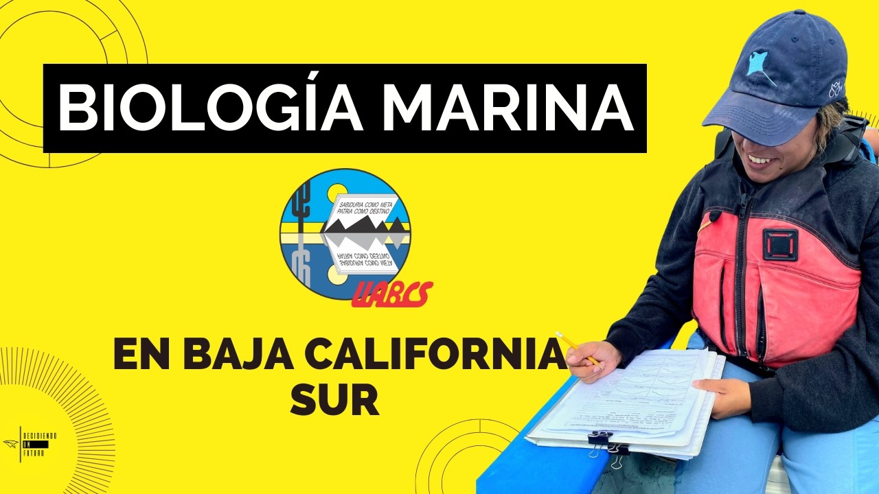 BIOLOGÍA MARINA en Baja California🪼🐳🐟 |Decidiendo un Futuro con Laura Rivero #10