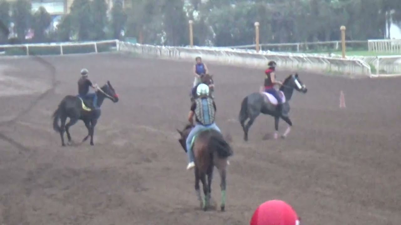 HAVE A NICE DAY 03Mar2026