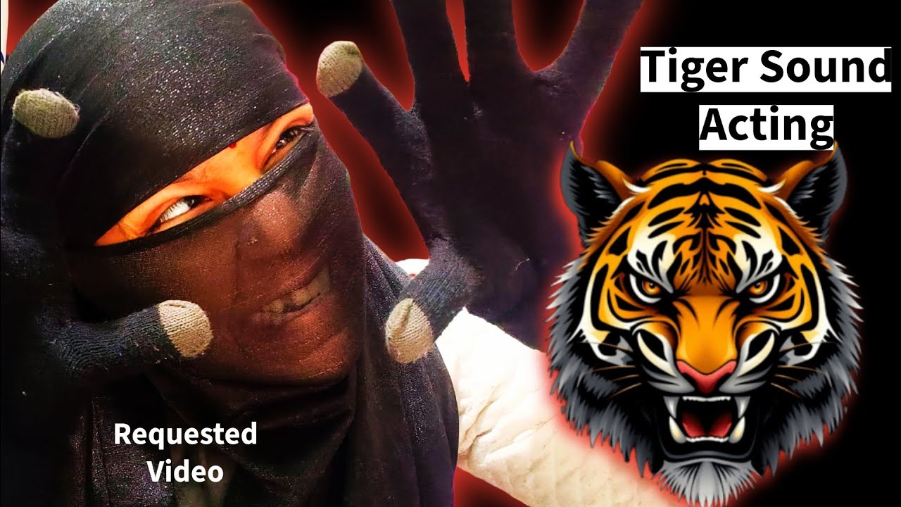 Tiger Sound Acting 😈 Powerful Attitude Video | Viral Acting