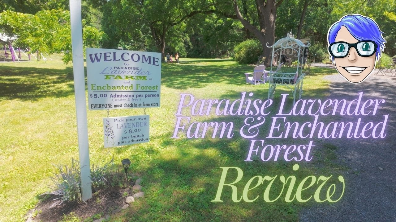 Paradise Lavender Farms & Enchanted Forest Review | Poconos Pennsylvania