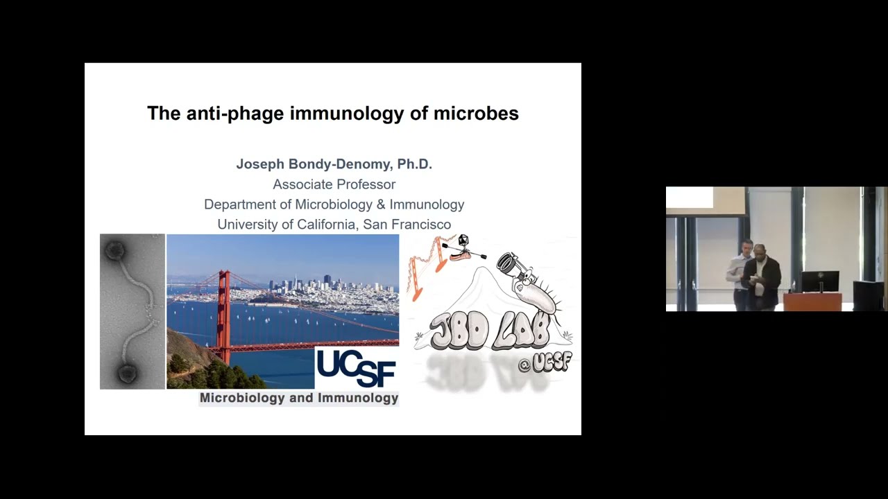 Translational Research in Bacteriophage Therapies Seminar Series: Joseph Bondy-Denomy, PhD