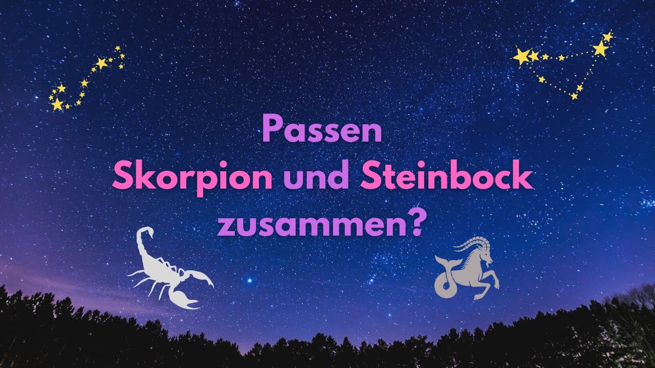 Wer passt zu wem?  Skorpion  ♏ und Steinbock ♑