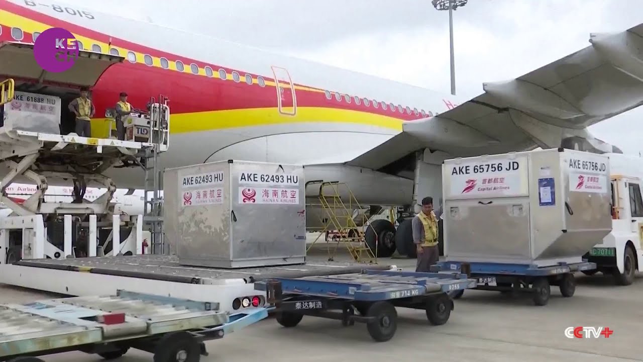 Big Data Revolutionizes China's Cross-Border Logistics