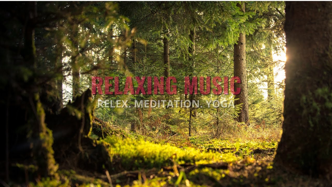 What is the most stress-relieving music?. Relaxing music. #relax #relexingmusic
