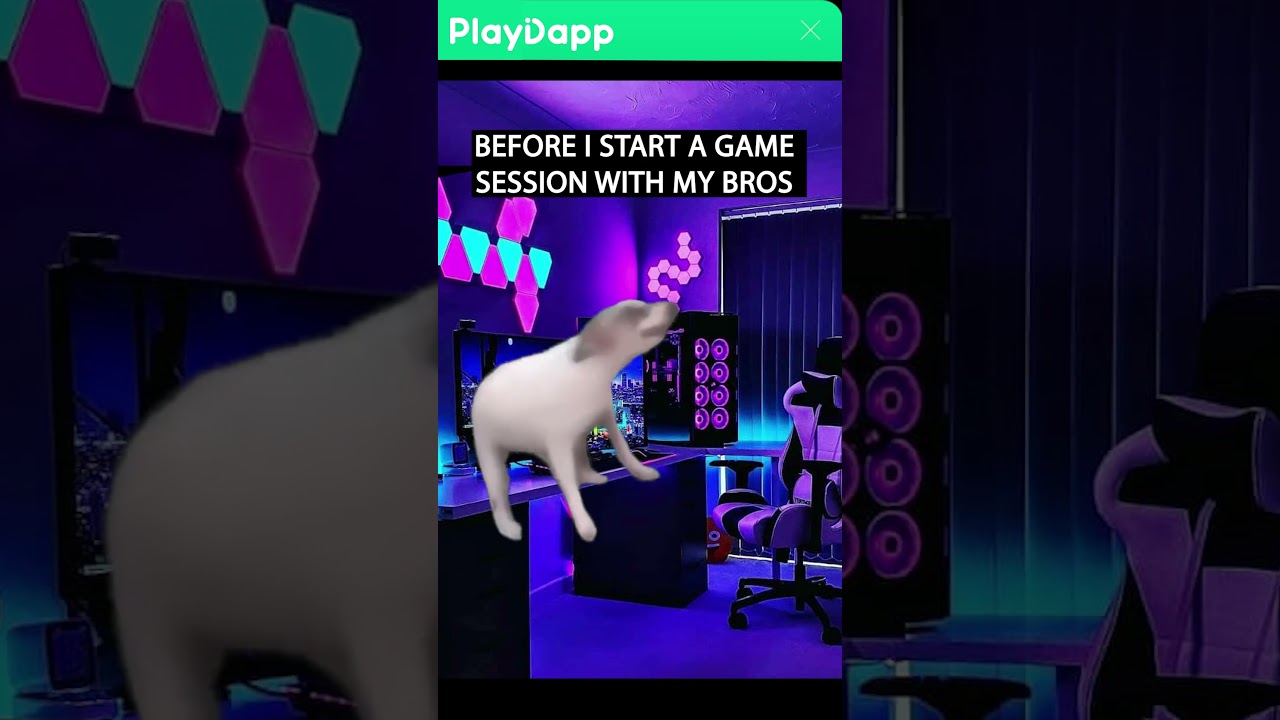 #gaming  #playdapp  #funny #dog #gamesession #meme