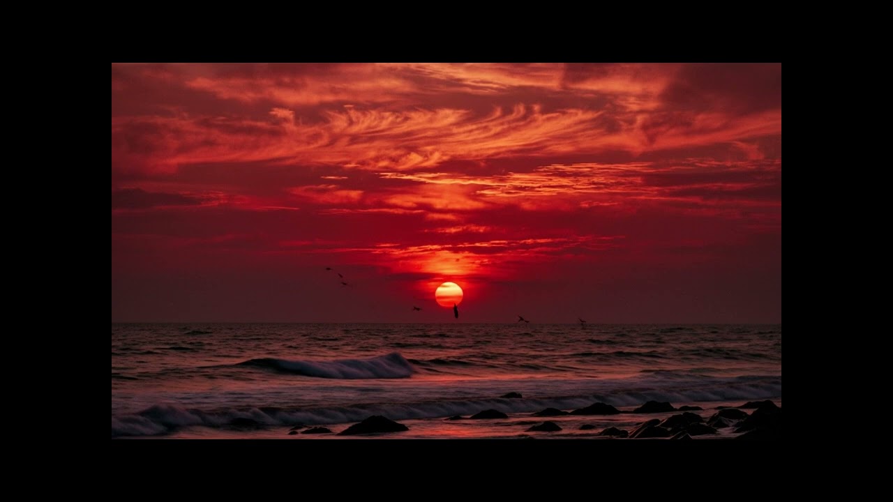 Nothing Else Matters by Niall McMahon