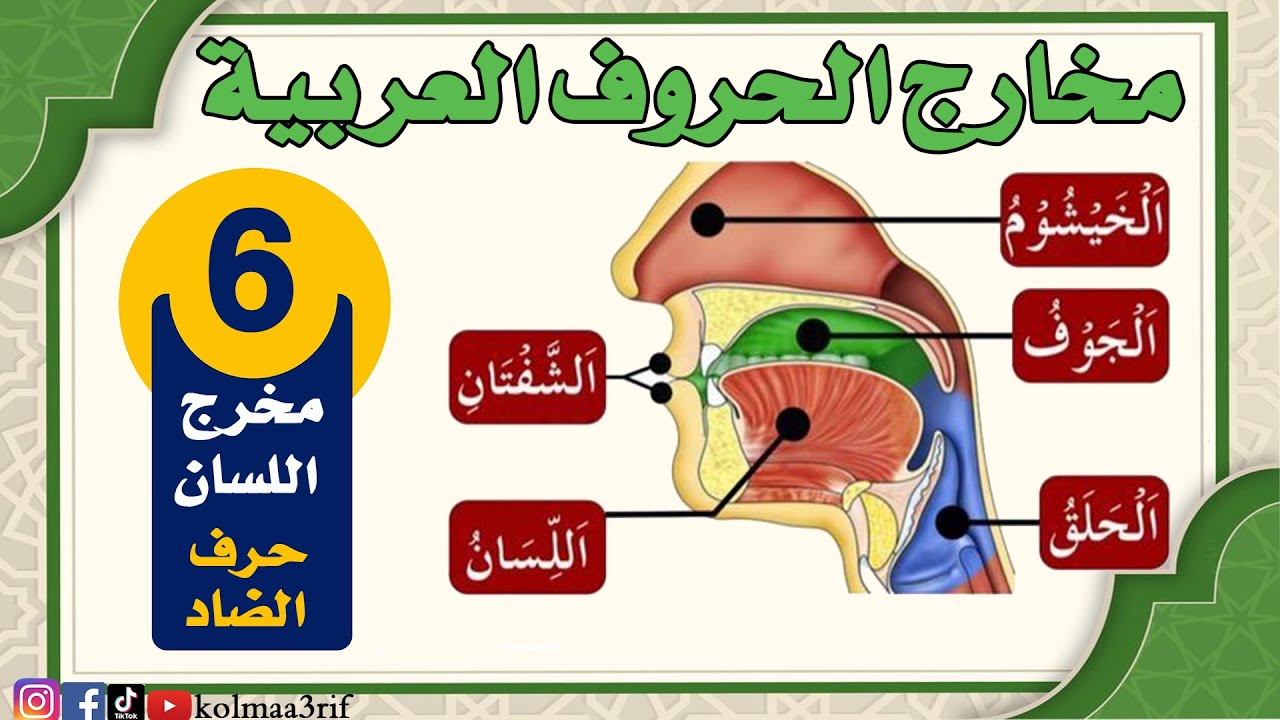 التجويد: مخارج الحروف (اللسان) حرف الضاد