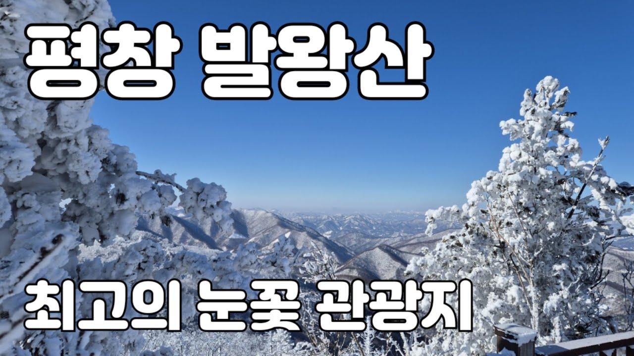 [용평리조트 발왕산 눈꽃] 올겨울 최고의 눈꽃 관광지!! / 지상은 영상1℃ 발왕산은 영하 -10℃ / 용평리조트로 최고의 설경보러 가자!!