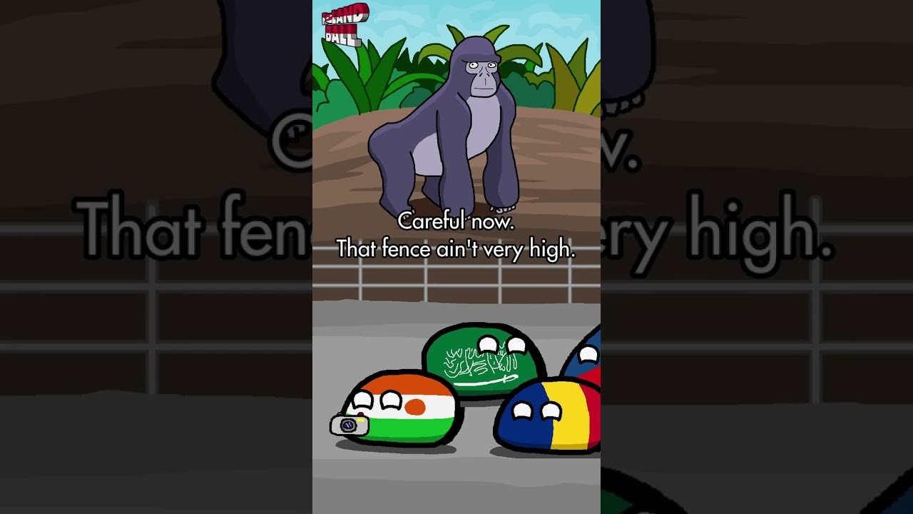 The Zoo