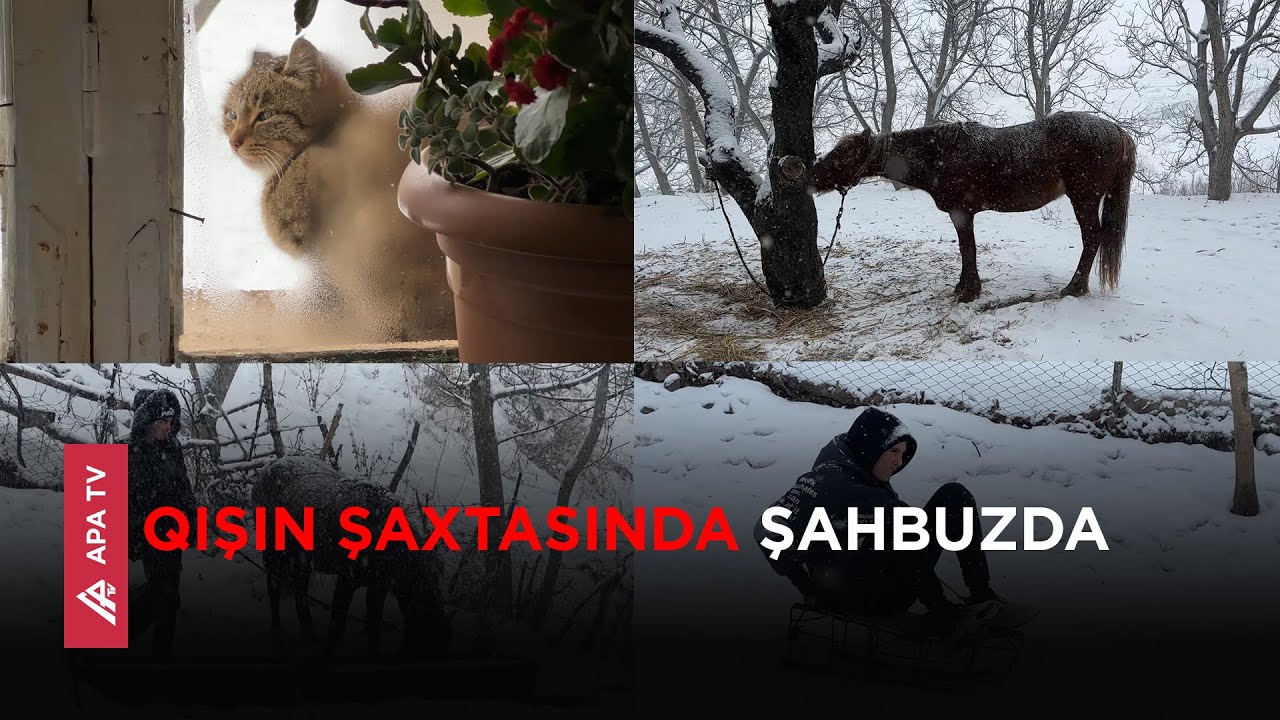 Bu kəndin adının mənası nədir? – Dağlar qoynunda qarlı qış günü – APA TV