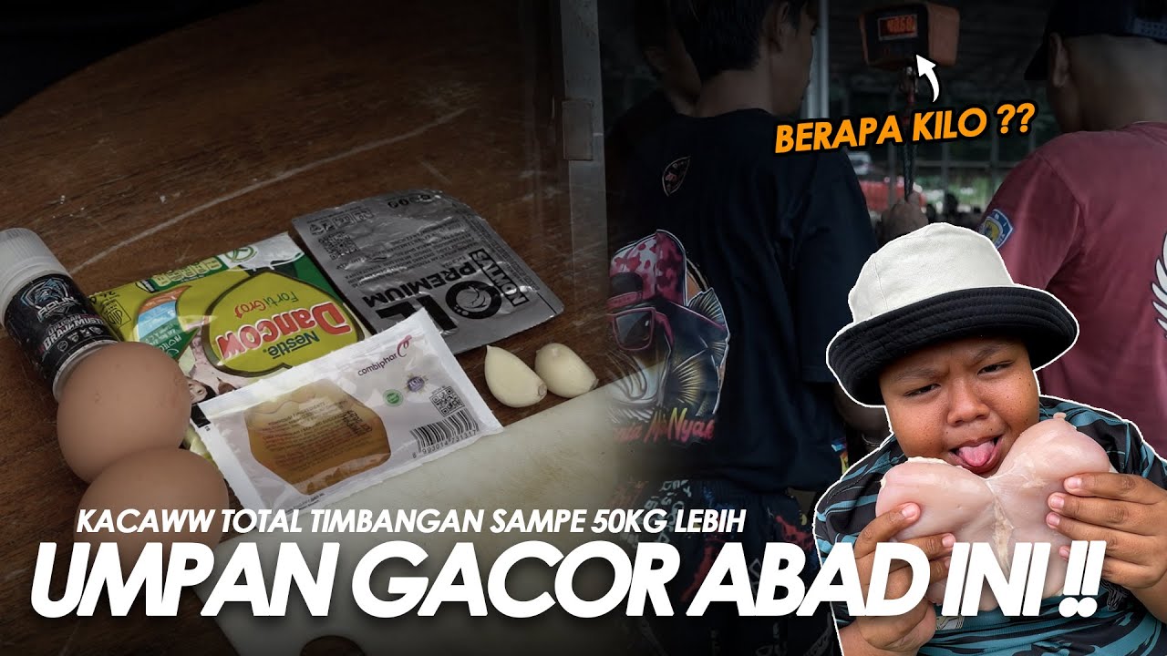 DADA AYAM BUAT UMPAN IKAN ?? GA ADA YANG NYANGKA BISA SE BRUTAL INI DI KOLAM || Am#565
