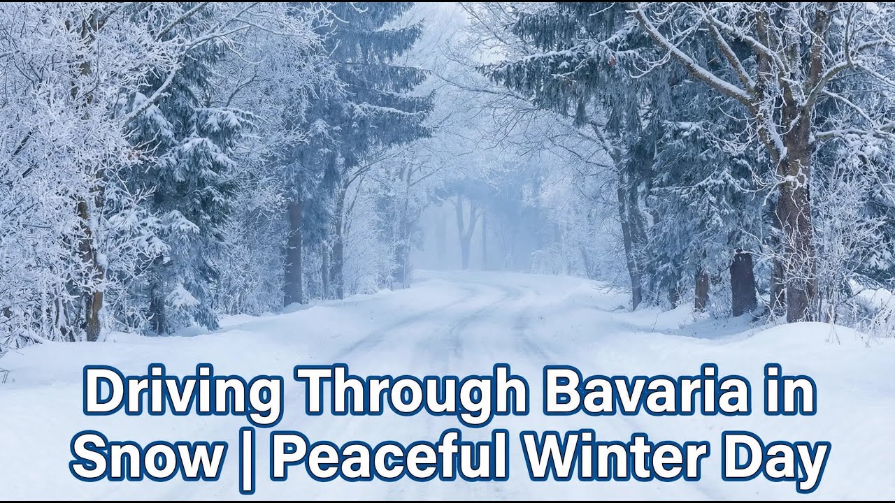 Calm Daytime Snow Drive in Bayern, Germany | No Music 🧘‍♂️❄️🚗