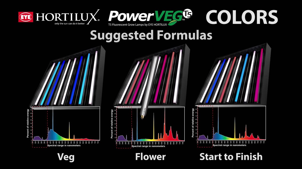 Introducing PowerVEG Colors