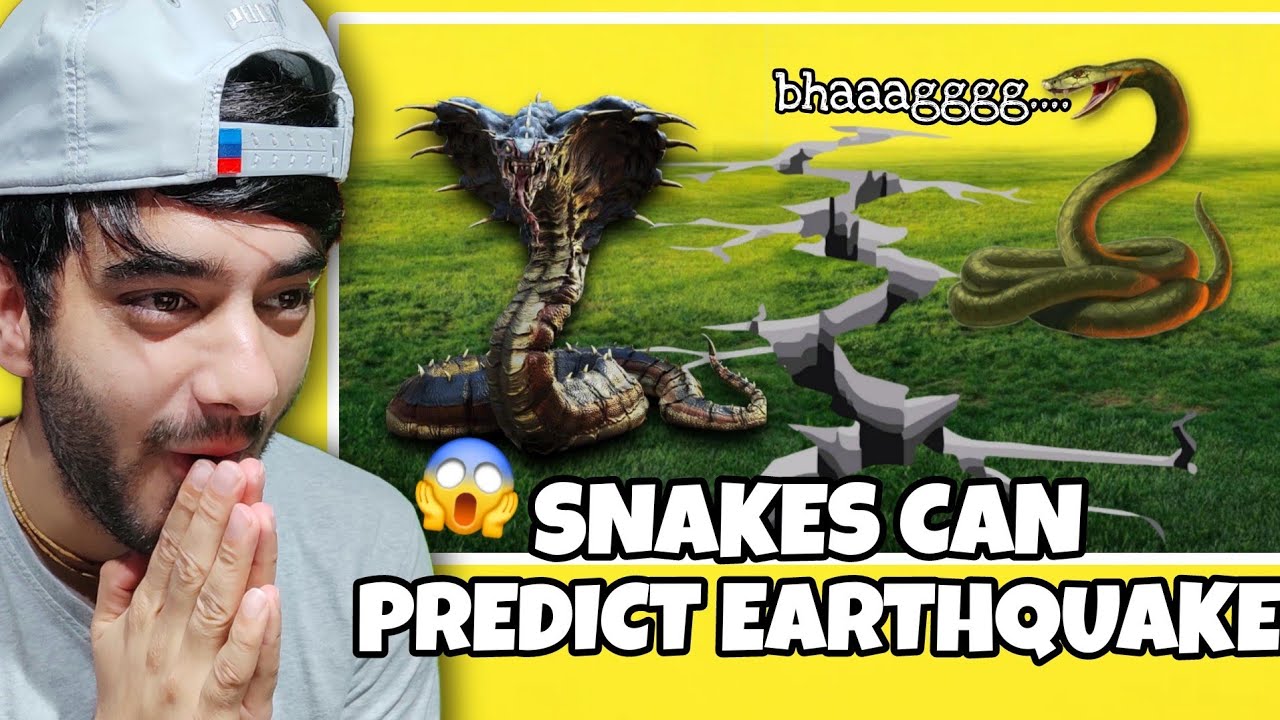 UNBELIEVABLE RANDOM FACTS YOU DON'T KNOW ABOUT #1
