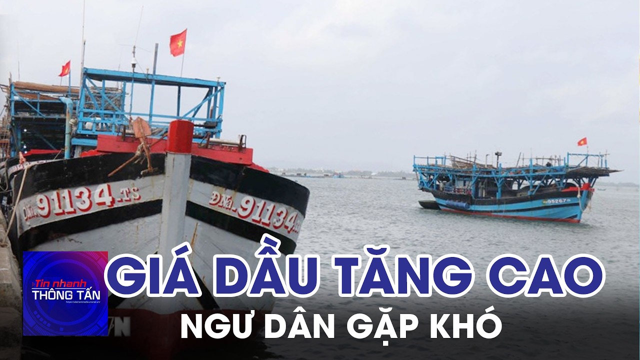 Đà Nẵng: Ngư dân gặp khó vì giá dầu tăng cao | Tin nhanh Thông tấn