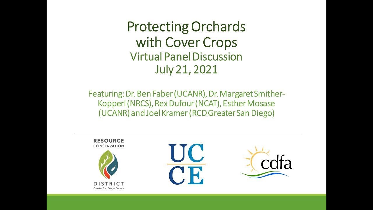 Protecting Orchards with Cover Crops