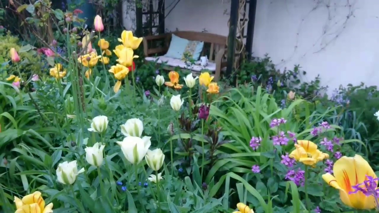 Frodige giftfri have i cottage garden stil