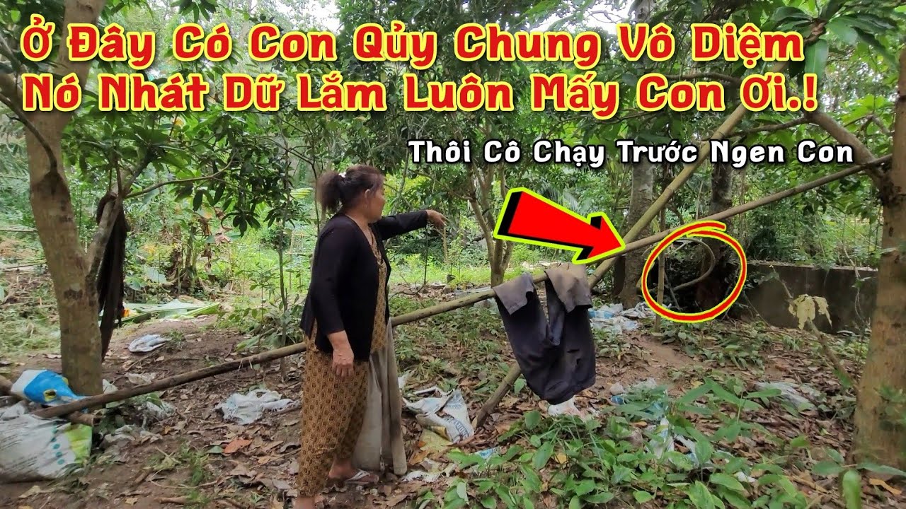 Kỳ Lạ Ngôi Mộ 