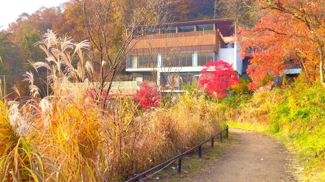 [4k] 힐리언스 선마을 Healience Seon Village in Hongcheon, Gangwon-do 강원도 홍천 slow walking Korea
