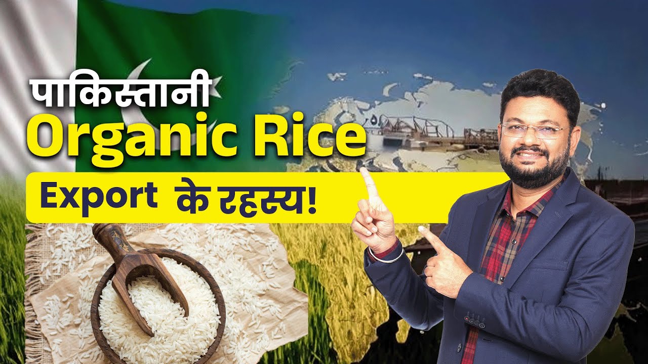आर्गेनिक राइस एक्सपोर्ट | Organic Rice Export Market | India Vs Pakistan Rice Export