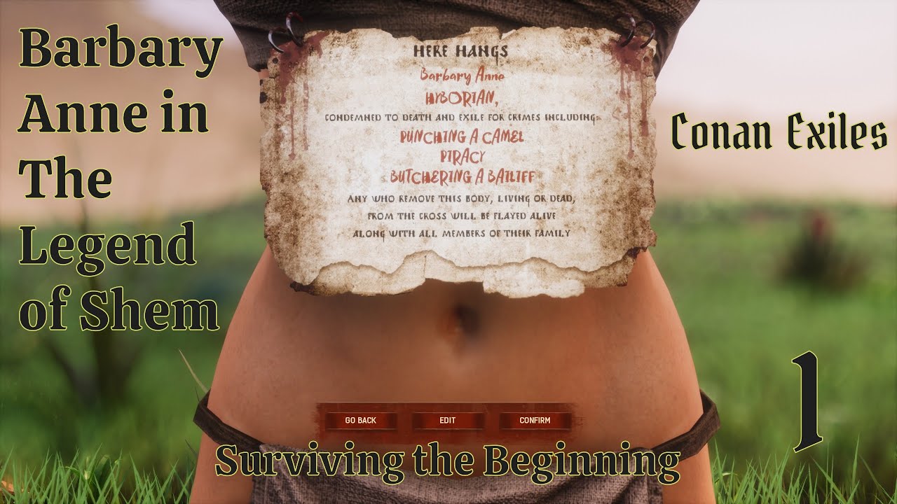 Barbary Anne in the Legend of Shem 1 Surviving the Beginning