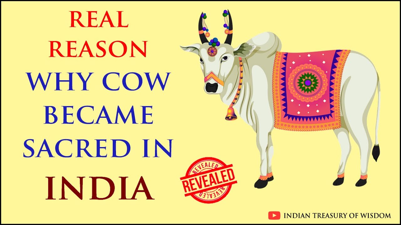 Real Reason Why Cow became Sacred in India (Hindi) | भारत में गाय की पूजा करने का असली कारण |