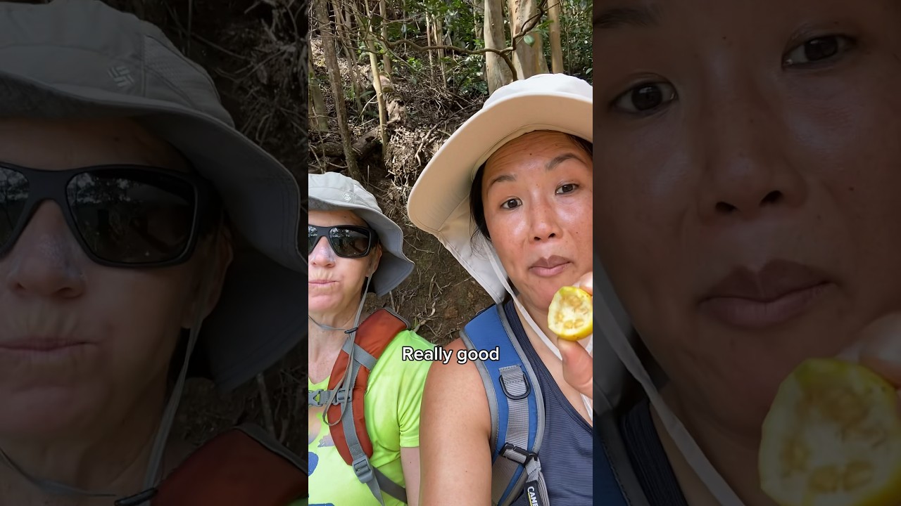 Hiking In Hawaii - Aiea Loop Trail⛰️