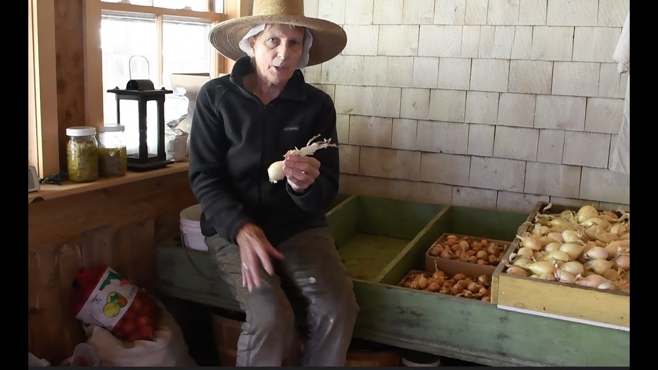 Storing Onions Longterm On The Homestead