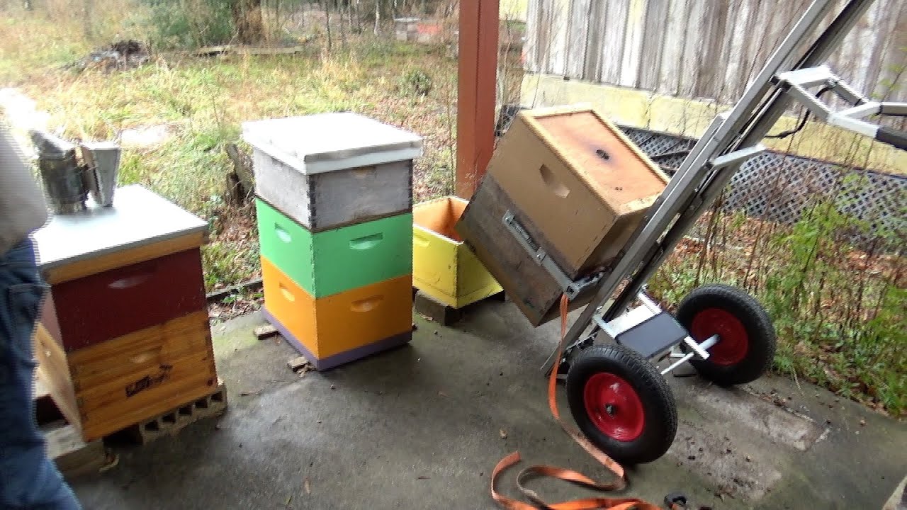 Buying bees. What you get for your money.