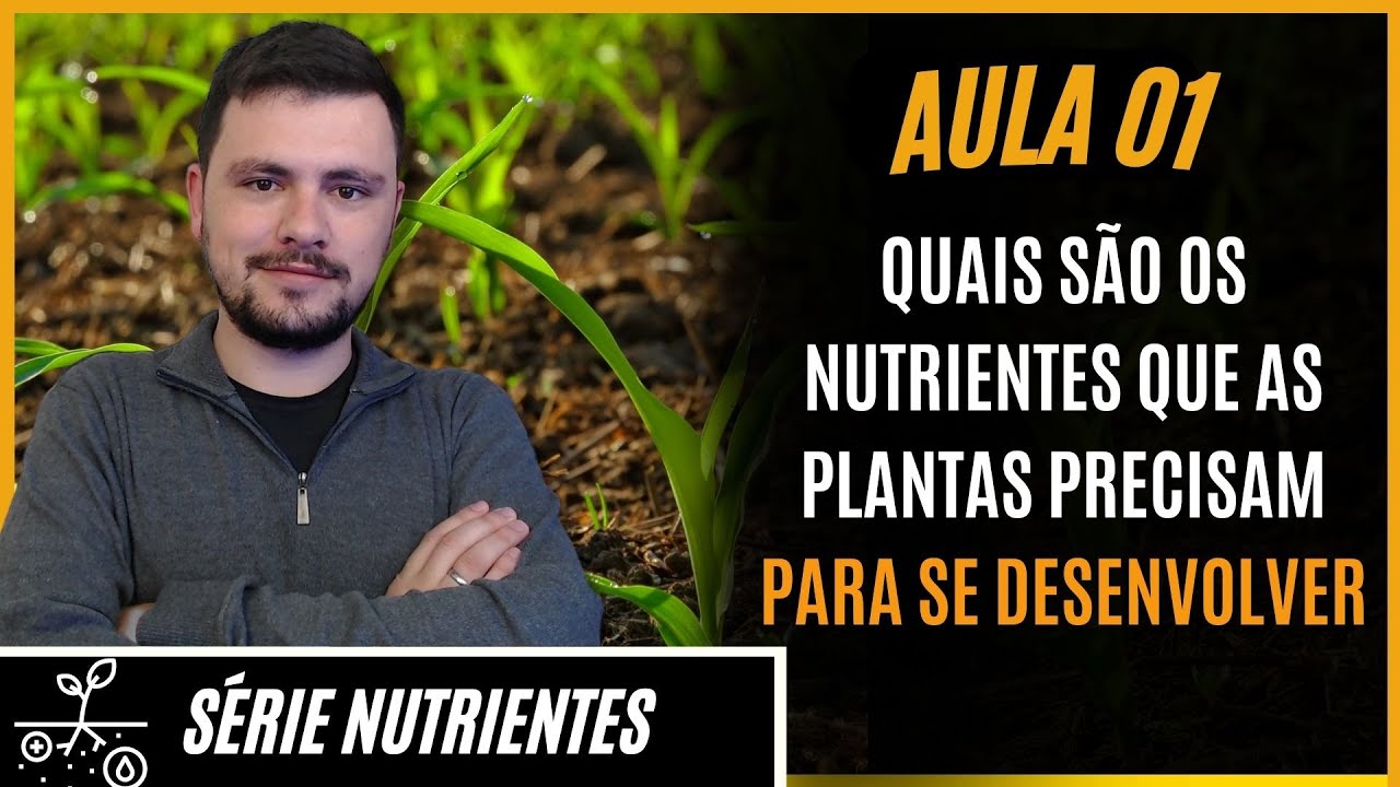 S&Eacute;RIE NUTRIENTES: Quais Nutrientes as plantas precisam para se desenvolver