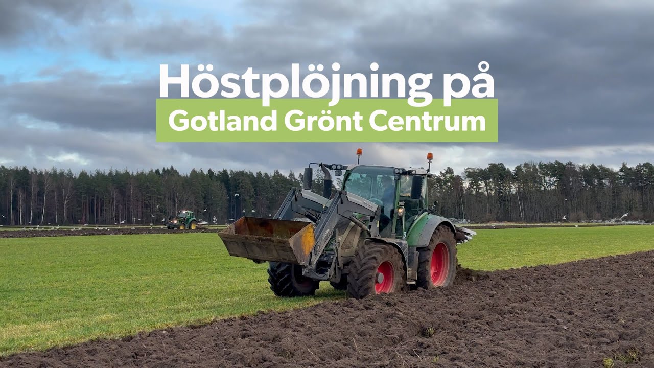 Höstplöjning på Gotland Grönt Centrum