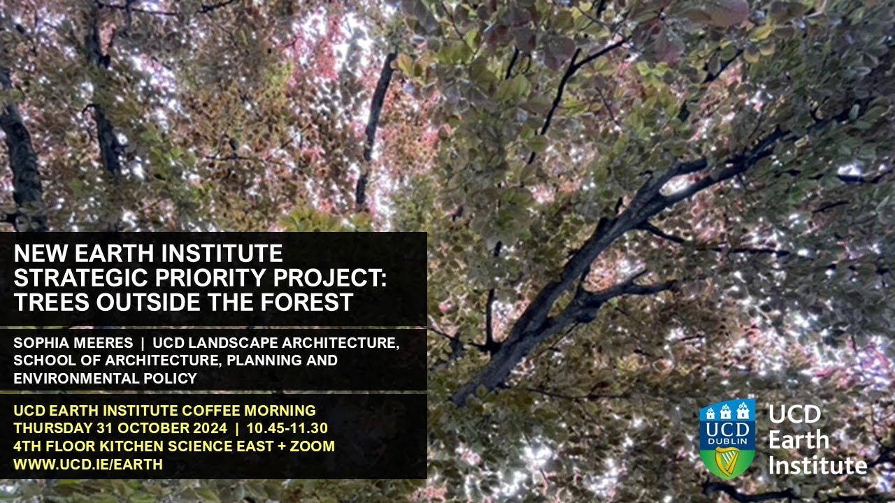 New UCD Earth Institute Strategic Priority project: Trees outside the Forest by Sophia Meeres