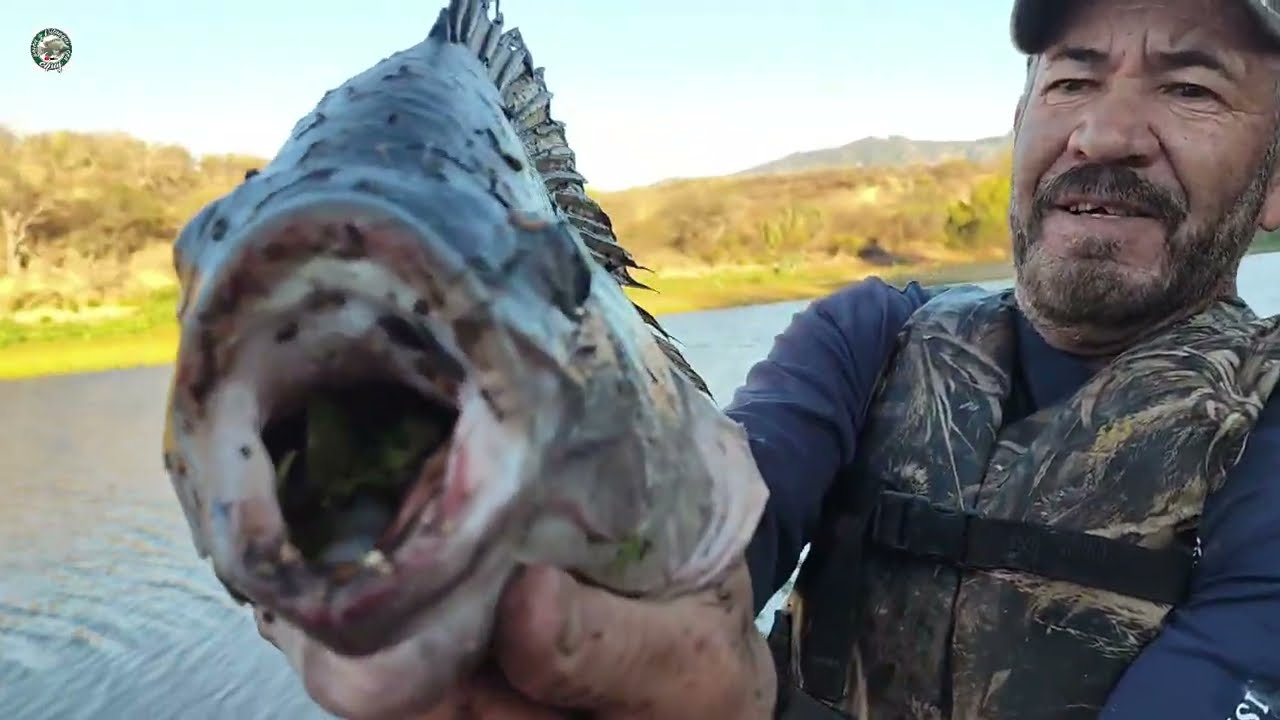 No lo vas a creer donde salieron las monstruo en un islote de la barranca tilapias y carpas